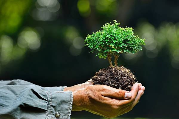 环境影响评价制度的积极作用